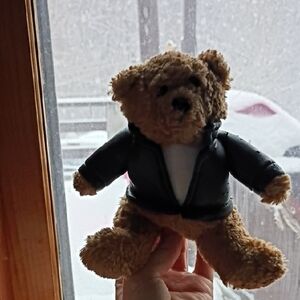 Cozy Brown Teddy Bear with Black Jacket